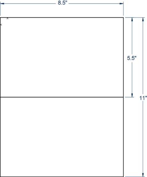 Compulabel 313402 8-1/2" x 5-1/2" Sheeted Labels 100 Sheets