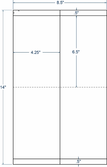 Compulabel 310105 4-1/4" x 13" Legal Size Sheeted Labels 100 Sheets