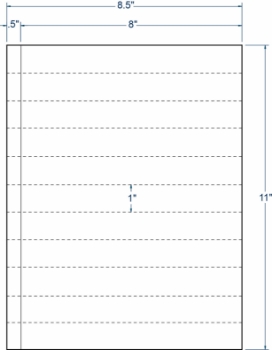 Compulabel 312906 Compulabel 312906 8" x 1" Transcription Sheeted Labels 100 Sheets