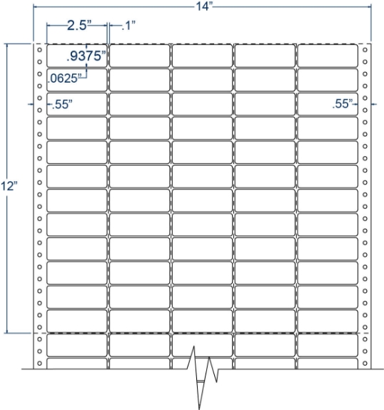 Compulabel 140556 2-1/2" x 15/16" Pinfeed Labels