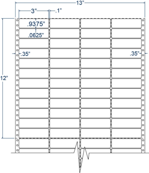 Compulabel 140308 3" x 15/16" Pinfeed Labels