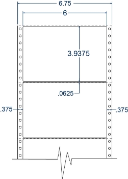 Compulabel 111903 Compulabel 111903 6" x 3-15/16" Pinfeed Labels